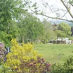 Ferienhaus Magnolie In Der Eifel