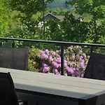 Magnolie In Der Eifel