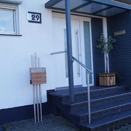 Magnolie In Der Eifel