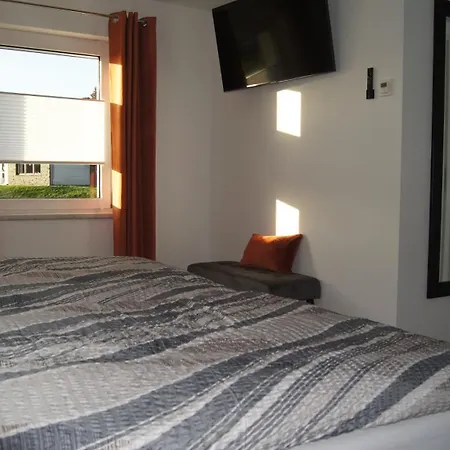 Magnolie In Der Eifel *