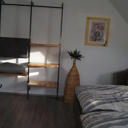 Magnolie In Der Eifel