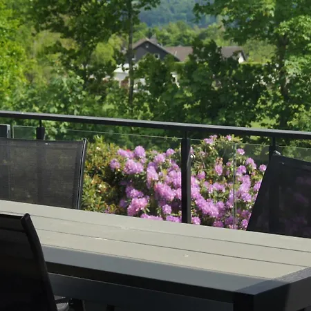 Magnolie In Der Eifel