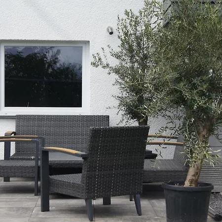 Magnolie In Der Eifel *