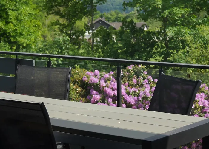 Magnolie In Der Eifel