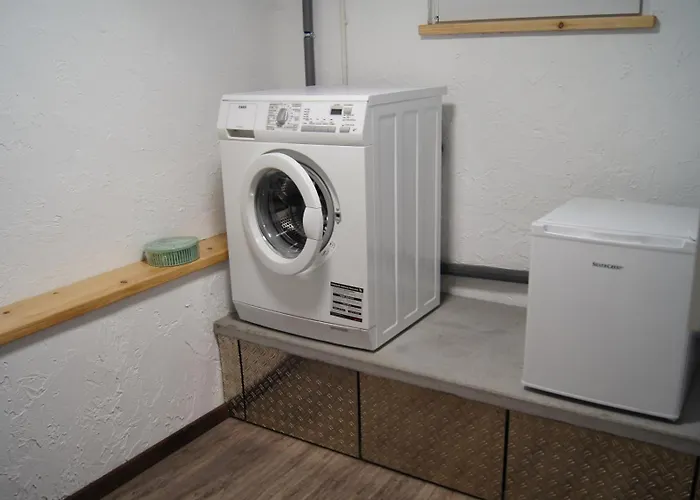 Magnolie In Der Eifel Ferienhaus