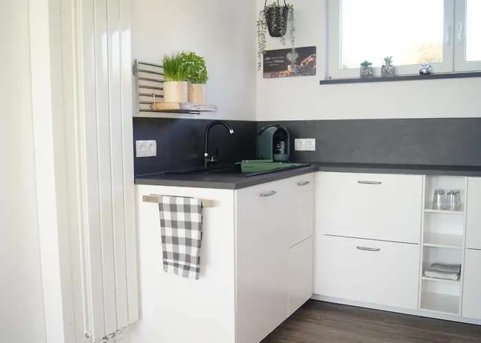 Magnolie In Der Eifel Ferienhaus